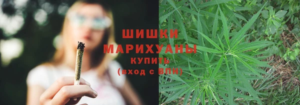 ГАЛЛЮЦИНОГЕННЫЕ ГРИБЫ Новокубанск