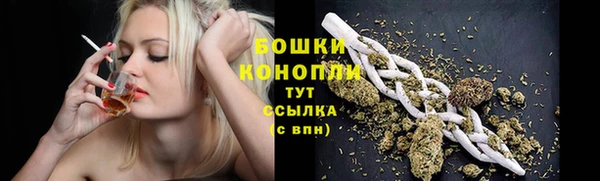 ГАЛЛЮЦИНОГЕННЫЕ ГРИБЫ Новокубанск