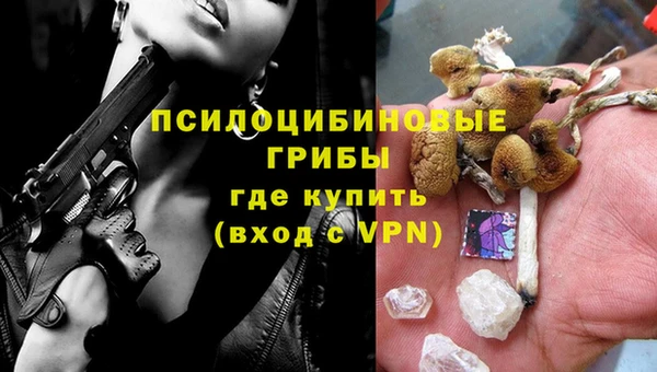 МДПВ Сатка