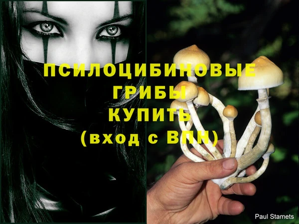 каннабис Няндома