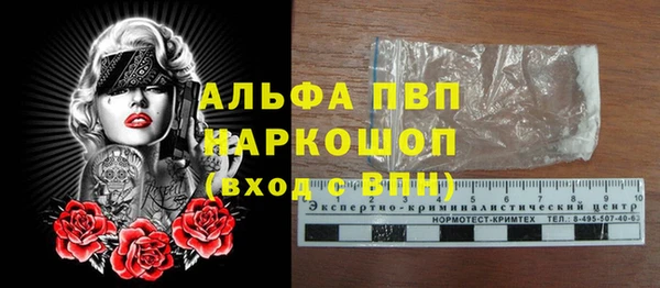 гашик Саяногорск