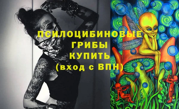 гашишное масло Новодвинск