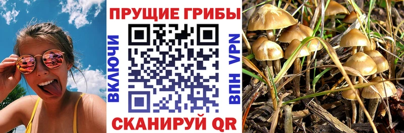 Галлюциногенные грибы мухоморы Алагир