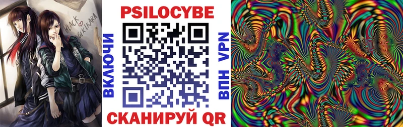 Псилоцибиновые грибы прущие грибы Алагир